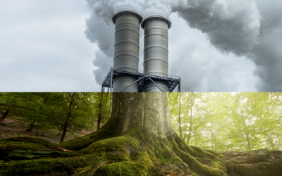 New Collaboration on Novel Approach to Carbon Capture