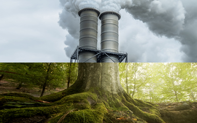 New Collaboration on Novel Approach to Carbon Capture